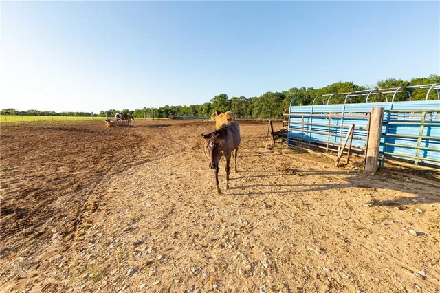 $524,900 | 1318 Northwest 911p Road, Blairstown, MO 64726