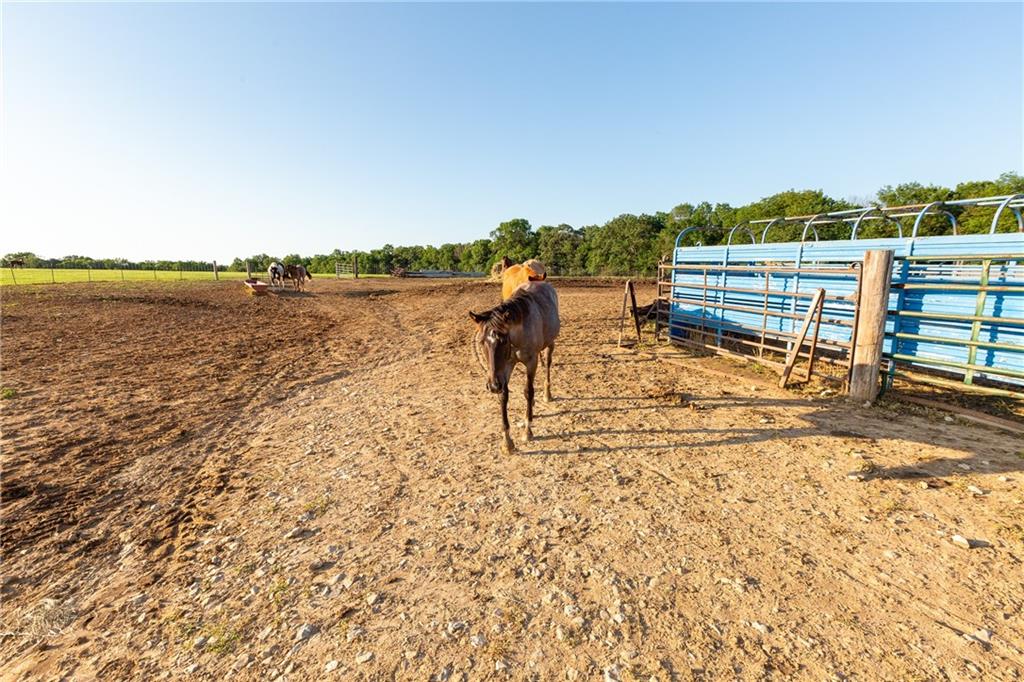 1318 Northwest 911p Road Blairstown, MO 64726 - Photo 51 of 99