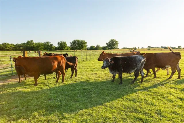 $524,900 | 1318 Northwest 911p Road, Blairstown, MO 64726