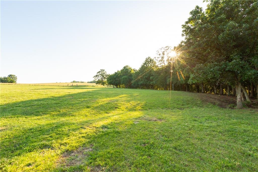 1318 Northwest 911p Road Blairstown, MO 64726 - Photo 66 of 99