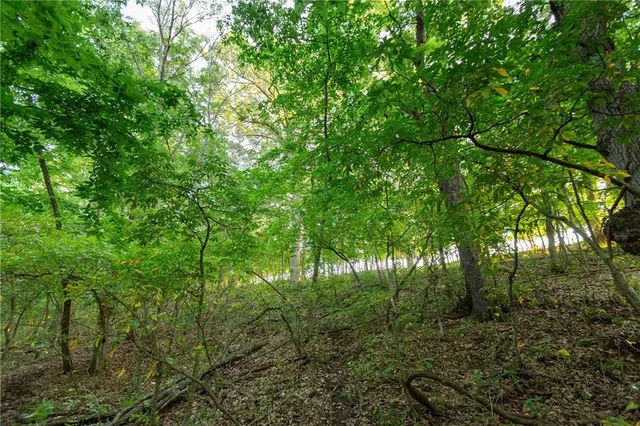 $524,900 | 1318 Northwest 911p Road, Blairstown, MO 64726