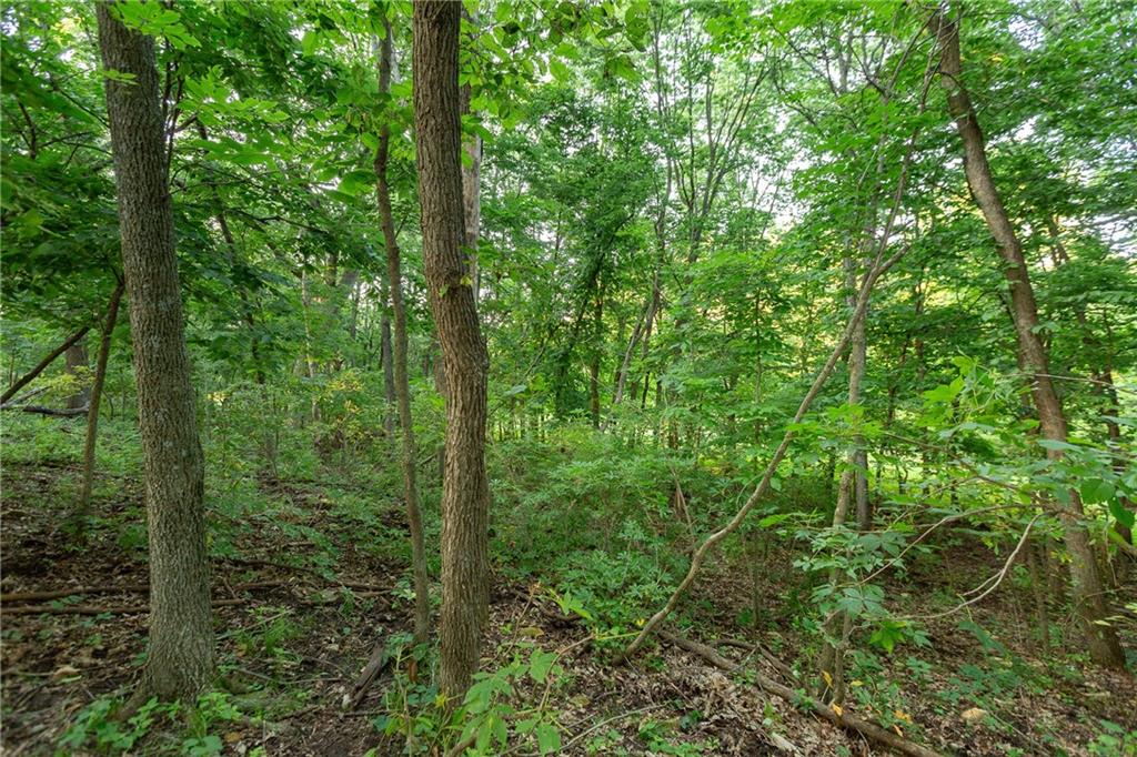 1318 Northwest 911p Road Blairstown, MO 64726 - Photo 70 of 99