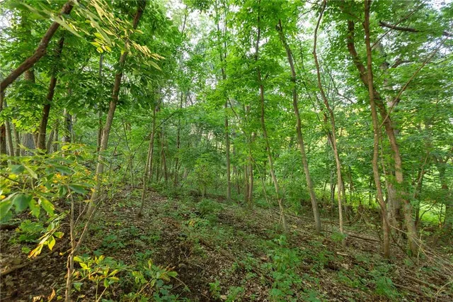 $524,900 | 1318 Northwest 911p Road, Blairstown, MO 64726