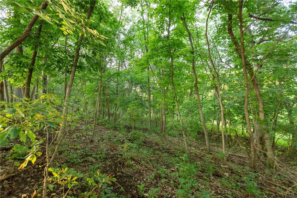 1318 Northwest 911p Road Blairstown, MO 64726 - Photo 71 of 99