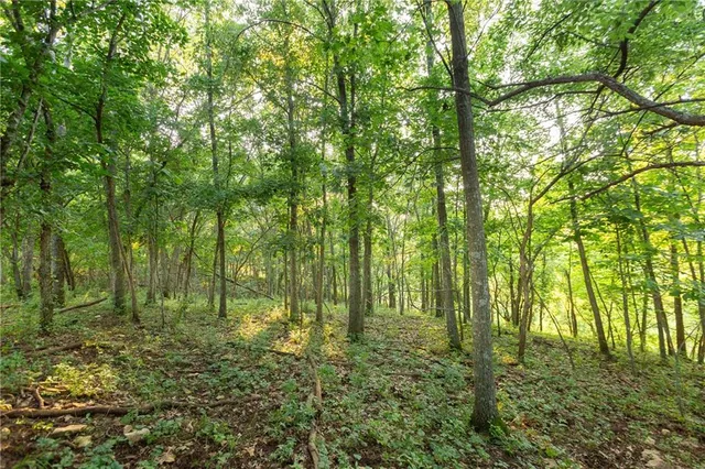 $524,900 | 1318 Northwest 911p Road, Blairstown, MO 64726