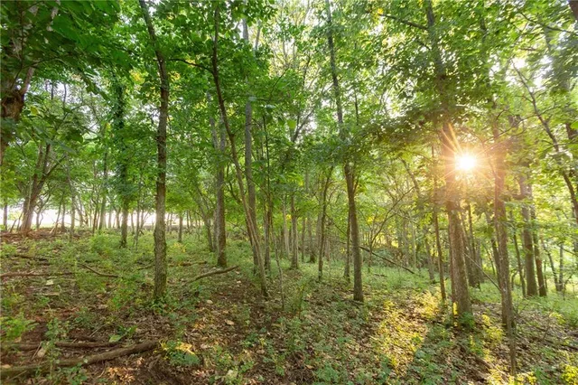 $524,900 | 1318 Northwest 911p Road, Blairstown, MO 64726