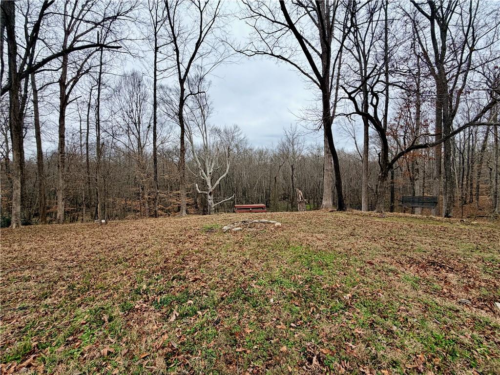 11691 Hazelbrand Road Northeast Covington, GA 30014 - Photo 9 of 10