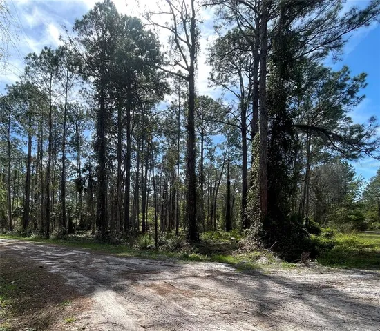 a view of outdoor space with lots of trees