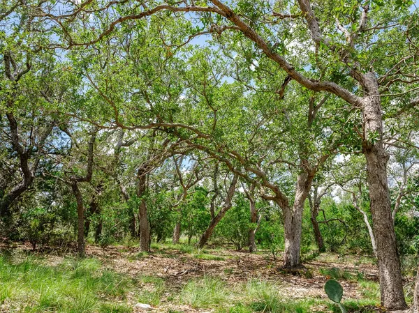 $134,500 | 1632 Link, Unit 1, Doss, TX 78618
