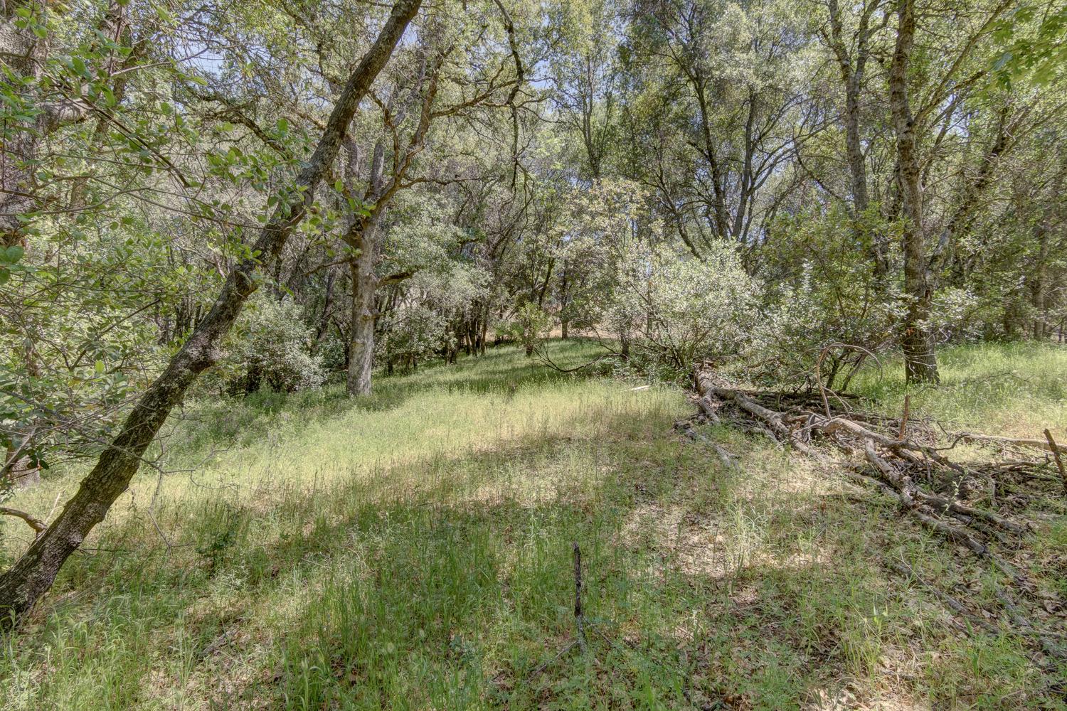 3390 Morel Way Placerville, CA 95667 - Photo 19 of 22