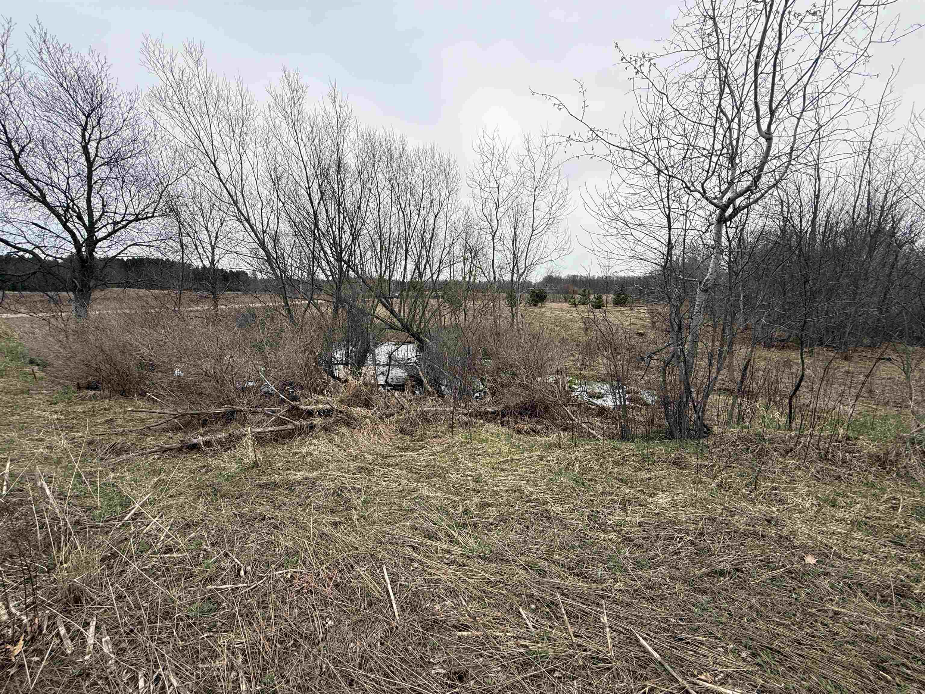 Gleaner Hall Road Kingsley, MI 49649 - Photo 8 of 21