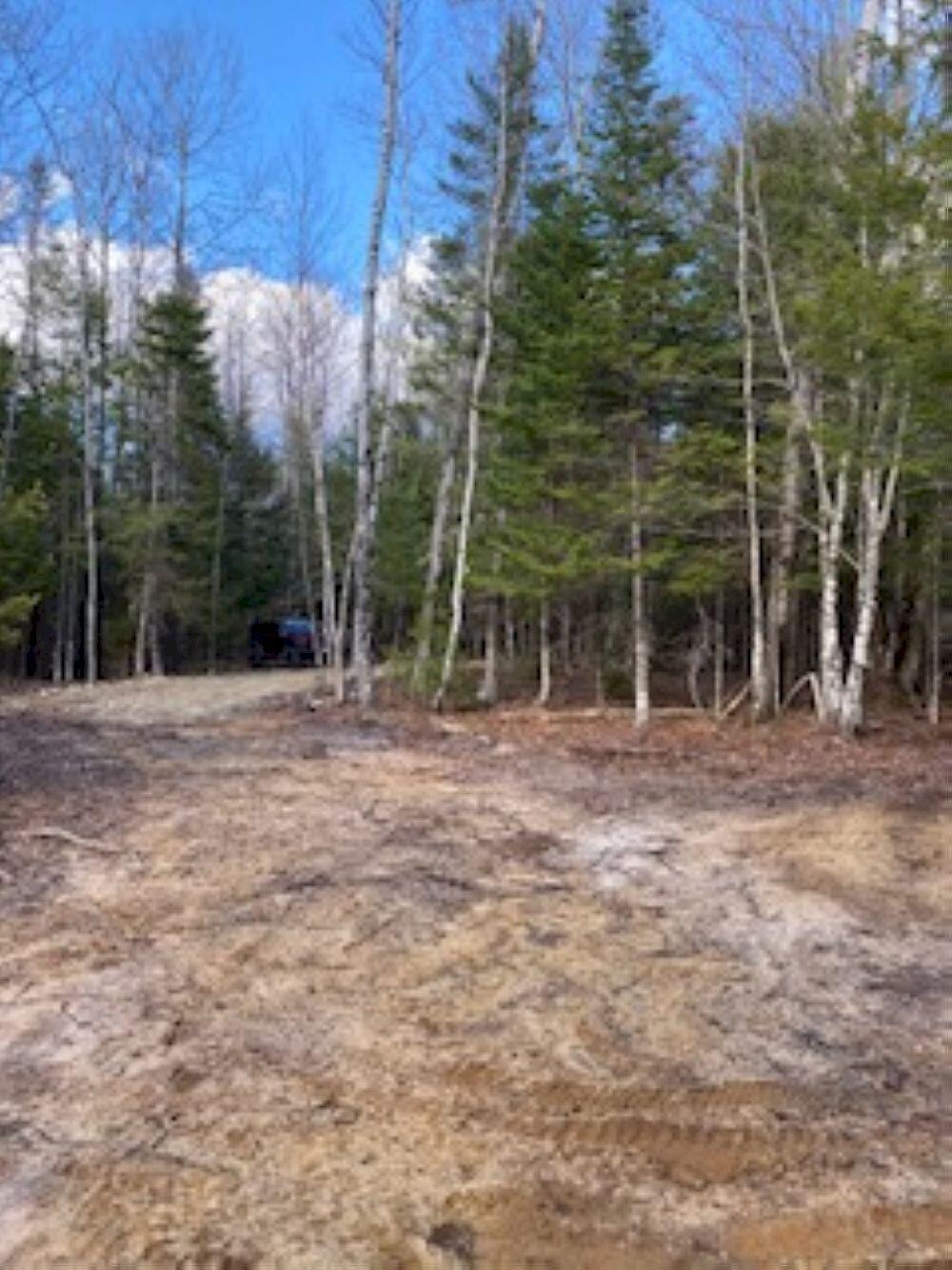 Lot 19 L15-3 Coburn Road Carthage, ME 04224 - Photo 8 of 14 IMG_2387_result