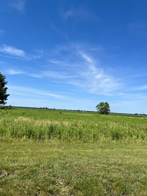 a view of a green field with lots of green space