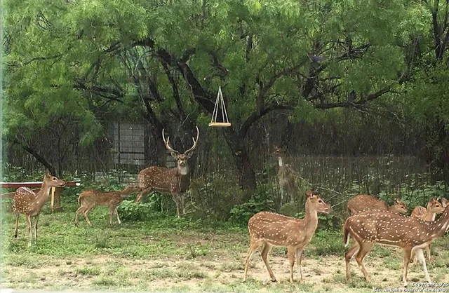 a bird view of a multi story building