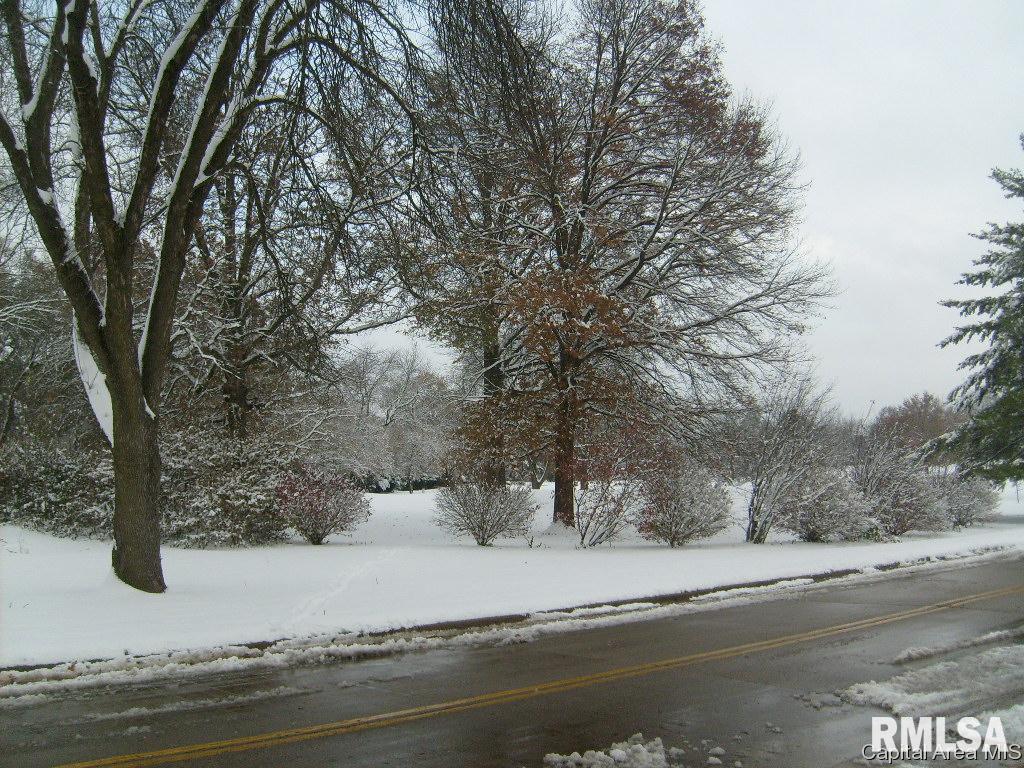 2315 South 15th Street Springfield, IL 62703 - Photo 2 of 26
