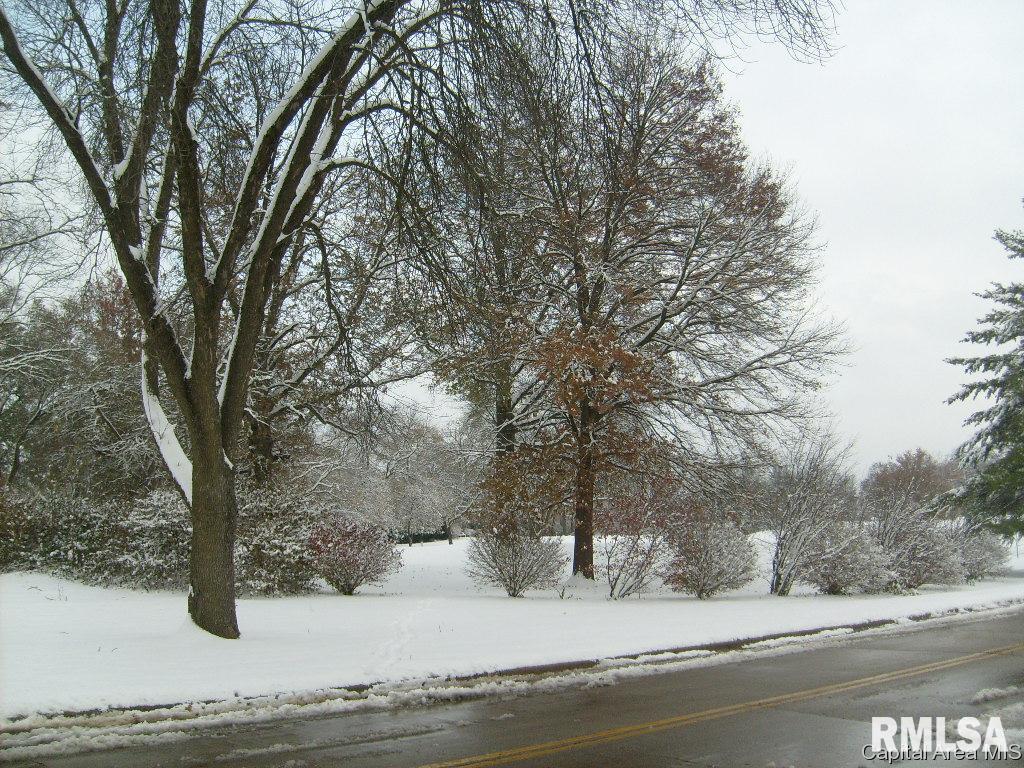 2315 South 15th Street Springfield, IL 62703 - Photo 26 of 26