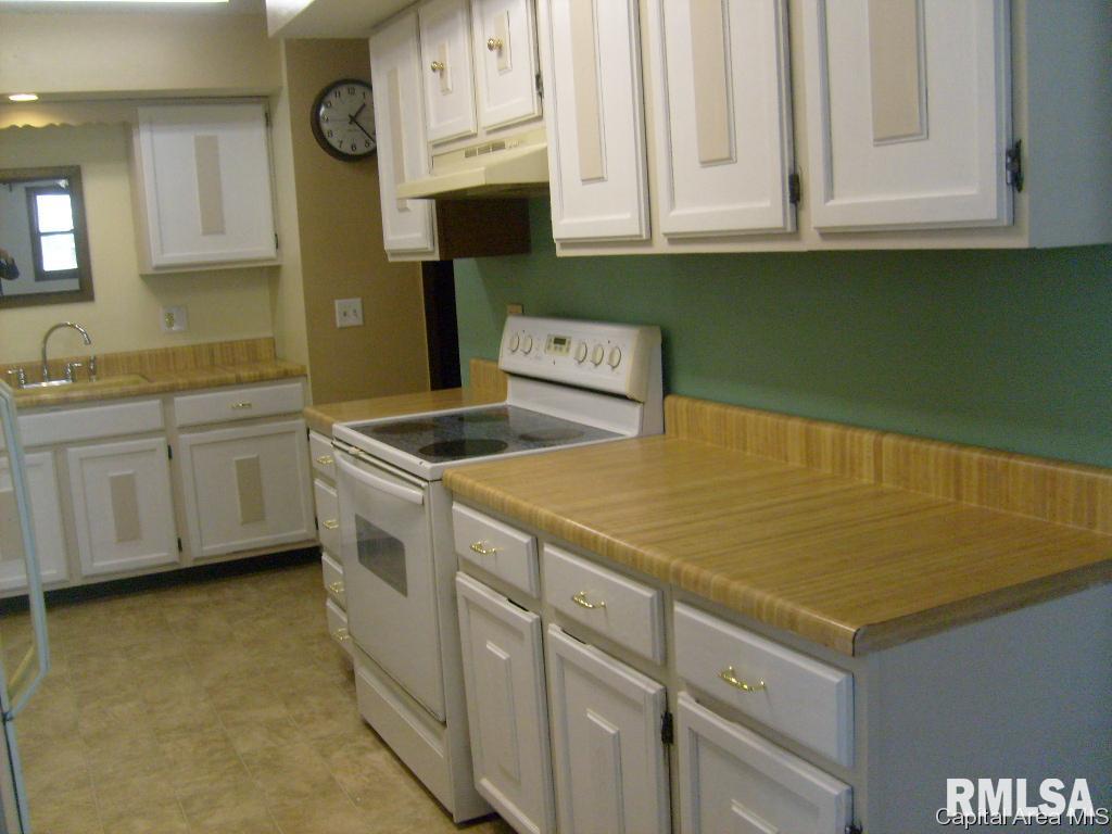 2315 South 15th Street Springfield, IL 62703 - Photo 4 of 26