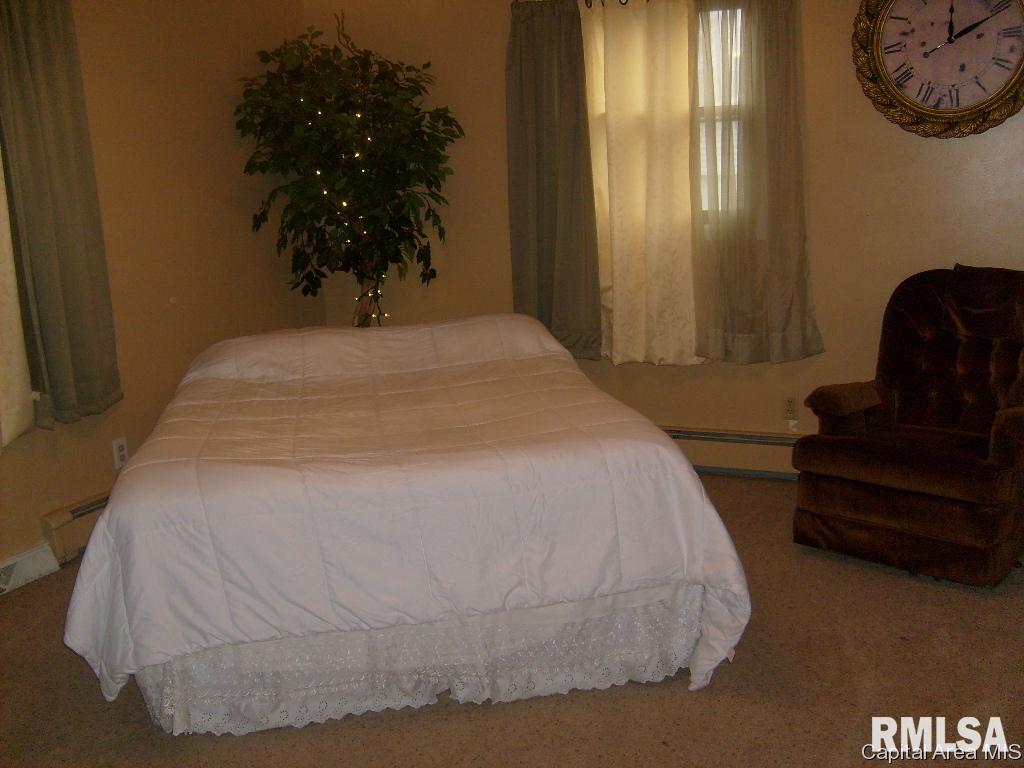 2315 South 15th Street Springfield, IL 62703 - Photo 10 of 26
