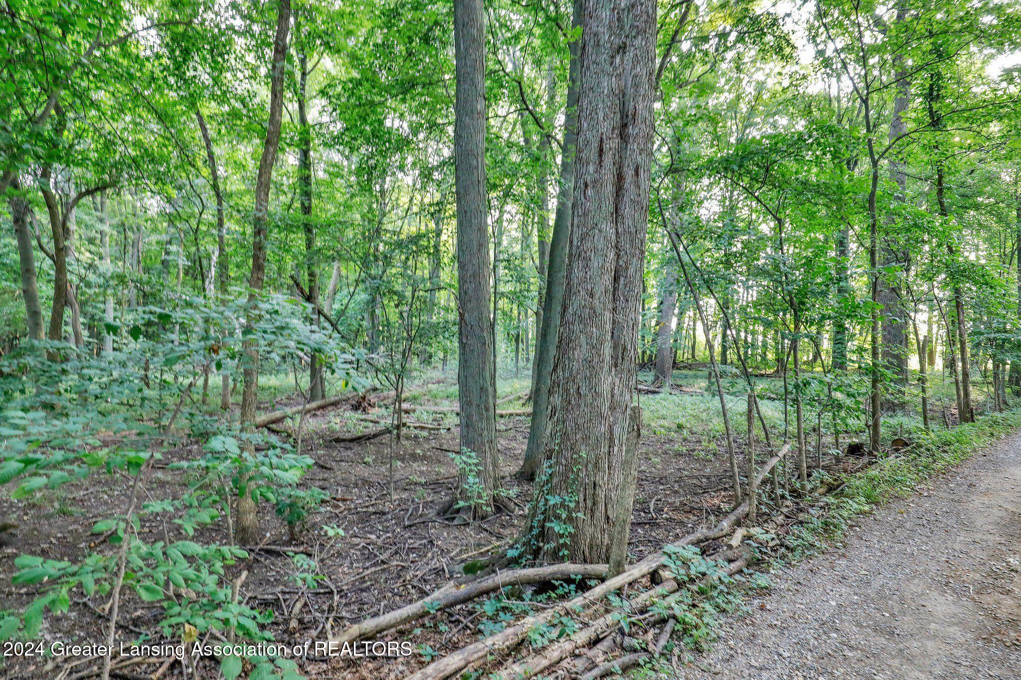 2695 Meridian Road Mason, MI 48854 - Photo 43 of 54 46-web-or-mls-20-web-or-mls-Open Ended M