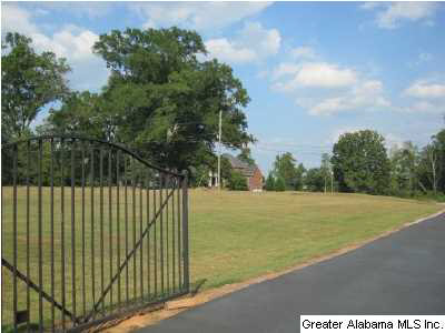 6821 Castle Heights Road Morris, AL 35116 - Photo 1 of 27