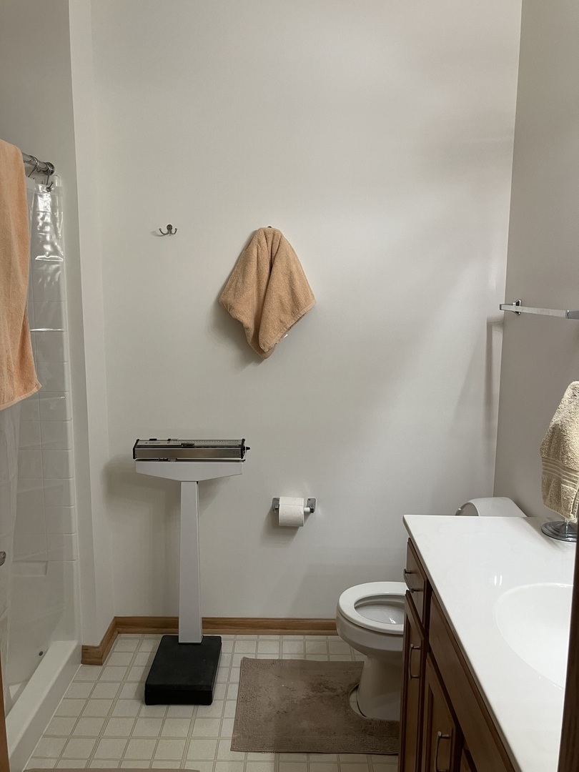 19246 104th Avenue Mokena, IL 60448 - Photo 19 of 38 a bathroom with a sink a toilet and vanity
