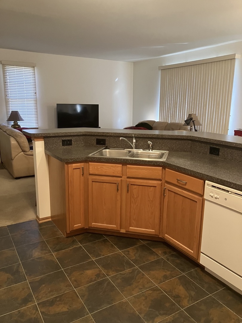 19246 104th Avenue Mokena, IL 60448 - Photo 23 of 38 a kitchen with a sink a counter and cabinets