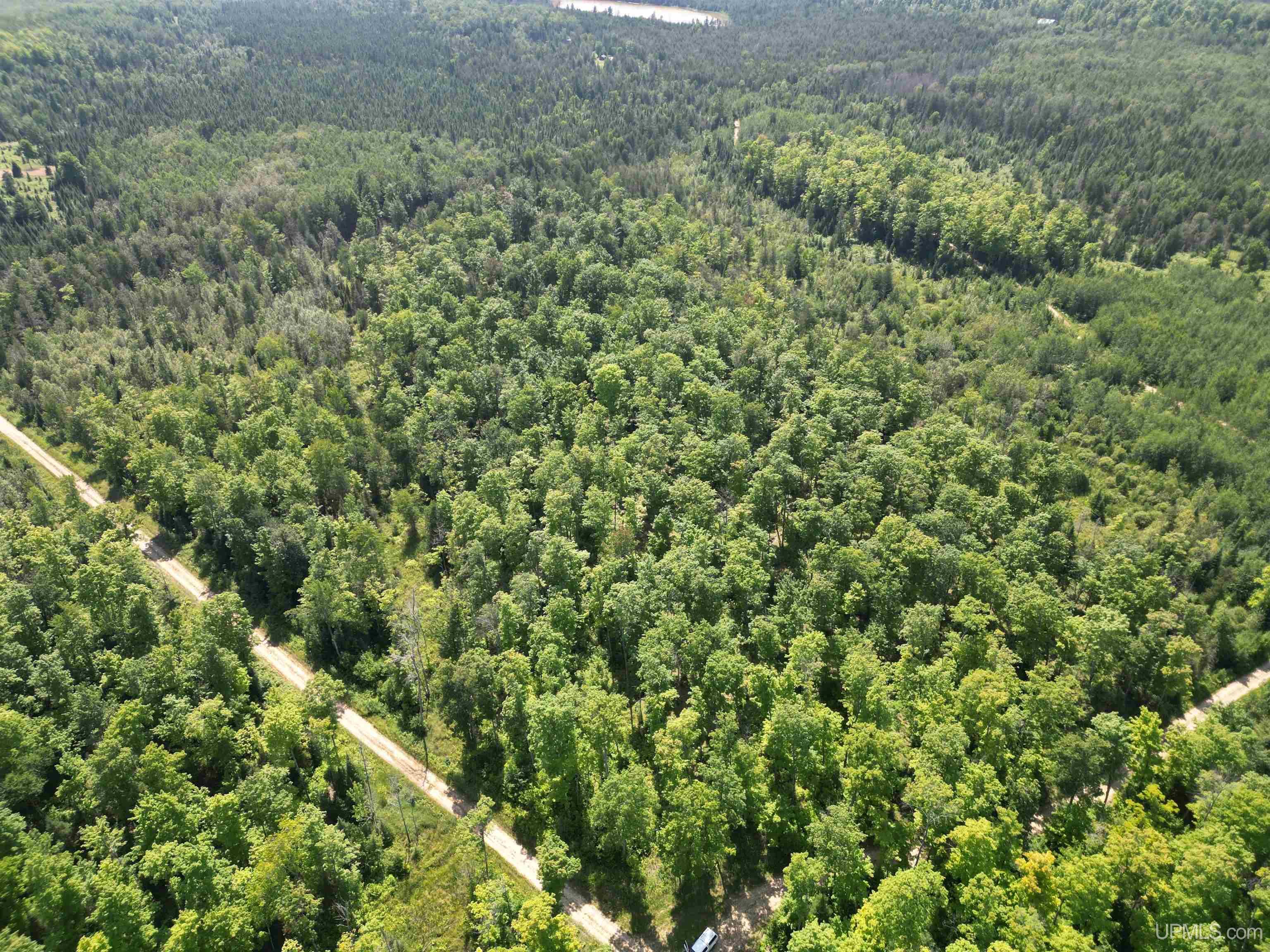 Tbd Cr 557 Road Perronville, MI 49873 - Photo 6 of 27
