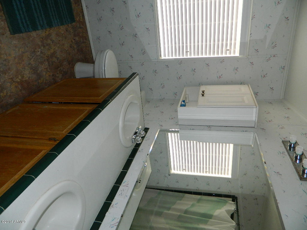 51520 West Robin Road Maricopa, AZ 85139 - Photo 19 of 26 DSCN3631