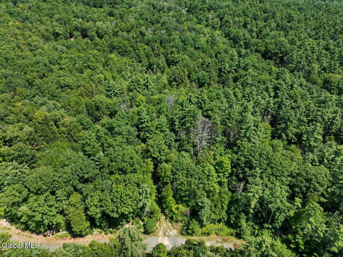 10 Jasmine Road Stephentown, NY 12062 - Photo 7 of 12 06-12 Jasmine Rd-6