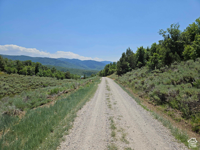 155 East Wolf Hollow Road South, Unit 155 Fairview, UT 84629 - Photo 13 of 13 View of dirt / gravel road featuring a mountain view