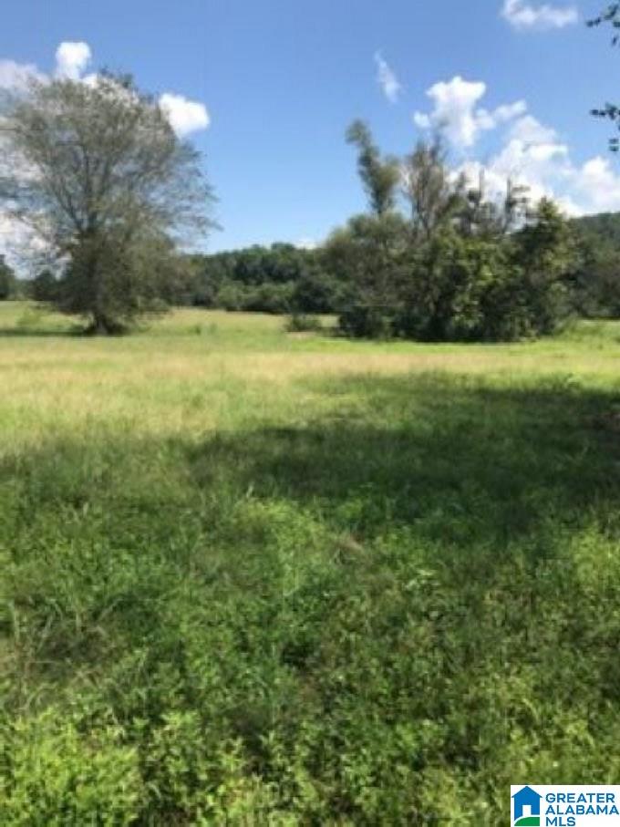 1957 Mineral Springs Road, Unit ACREAGE Pell City, AL 35125 - Photo 8 of 8