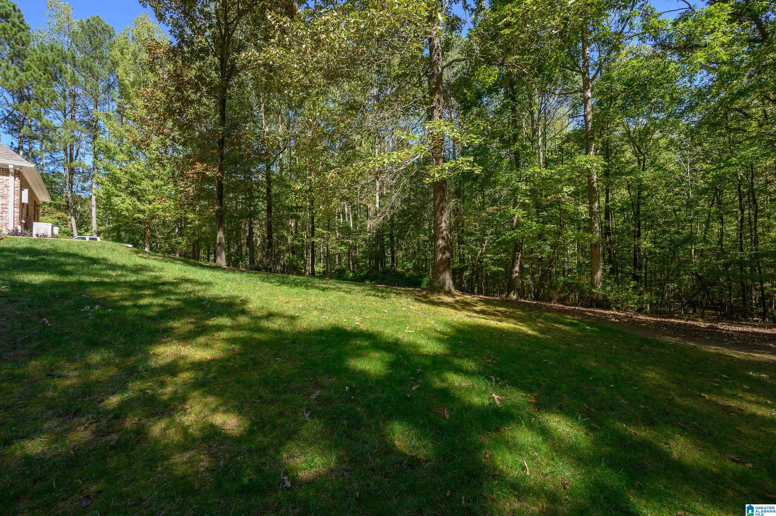 311 Hickory Valley Road Trussville, AL 35173 - Photo 60 of 67 Gallery Image 60