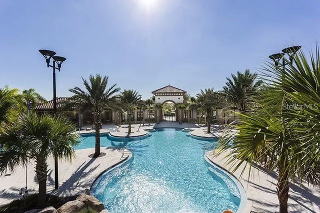 a view of a backyard with plants and palm tree