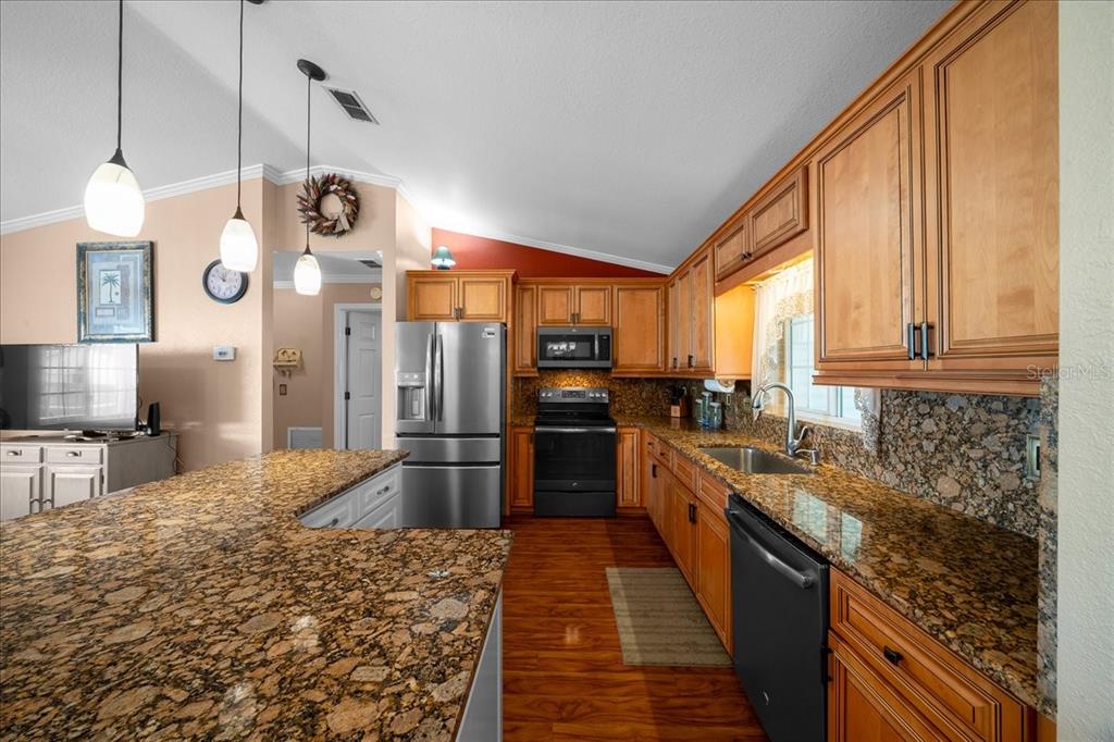 11876 Southwest 137th Loop Dunnellon, FL 34432 - Photo 13 of 48