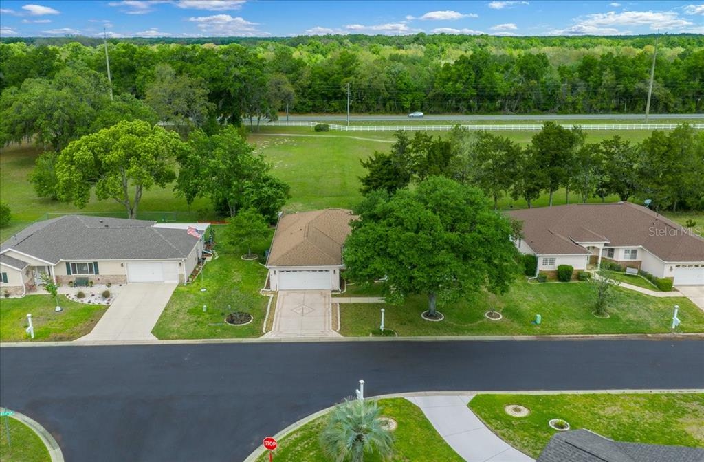 11876 Southwest 137th Loop Dunnellon, FL 34432 - Photo 39 of 48