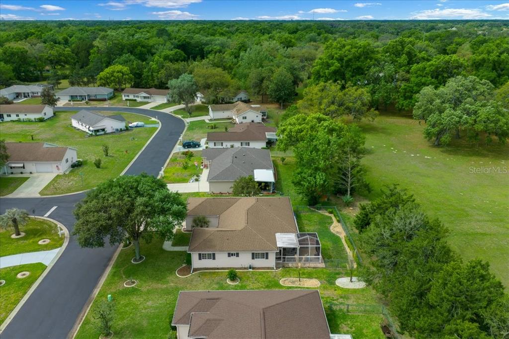 11876 Southwest 137th Loop Dunnellon, FL 34432 - Photo 41 of 48