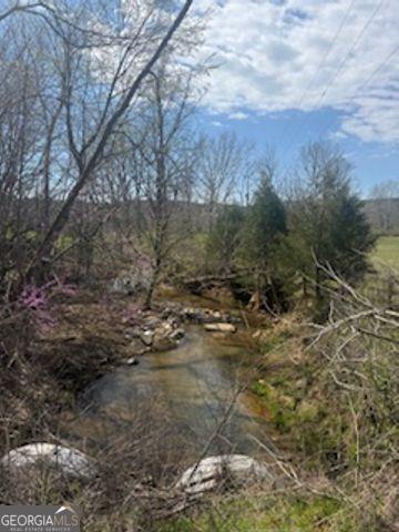 0 Salacoa Road Northeast Fairmount, GA 30139 - Photo 2 of 3