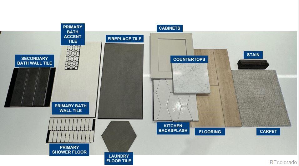 801 Simmental Loop Castle Rock, CO 80104 - Photo 2 of 14