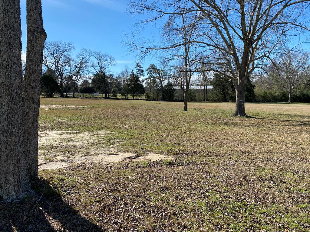 95 Williamson Way Dothan, AL 36301 - Photo 1 of 4