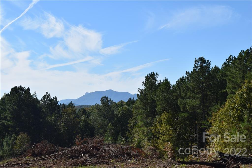 7 County Line Rd Mill Spring Rutherfordton, NC 28139 - Photo 2 of 4 a view of a city and mountain view