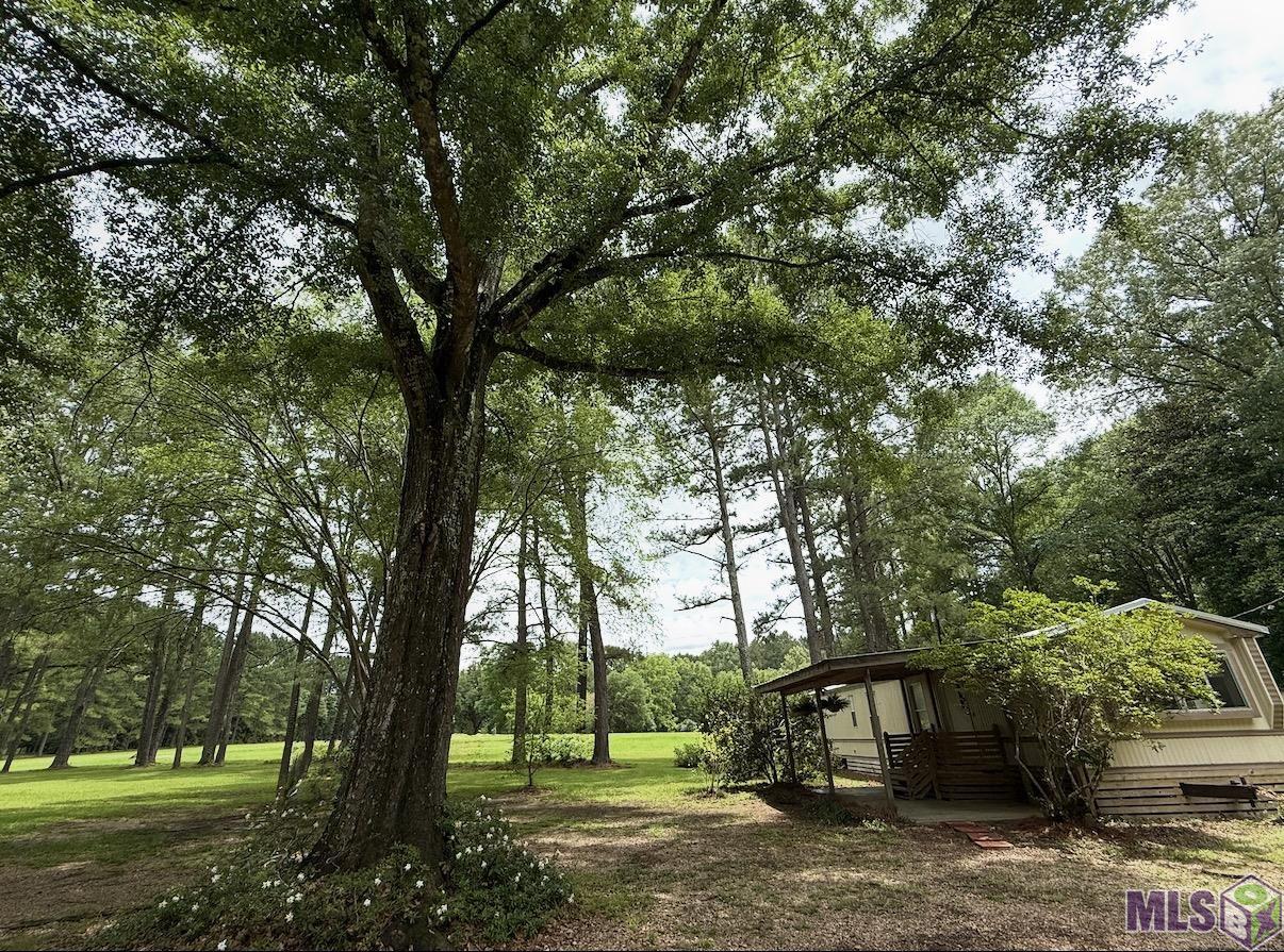 2363 Holly Ridge Road Jackson, LA 70748 - Photo 45 of 49