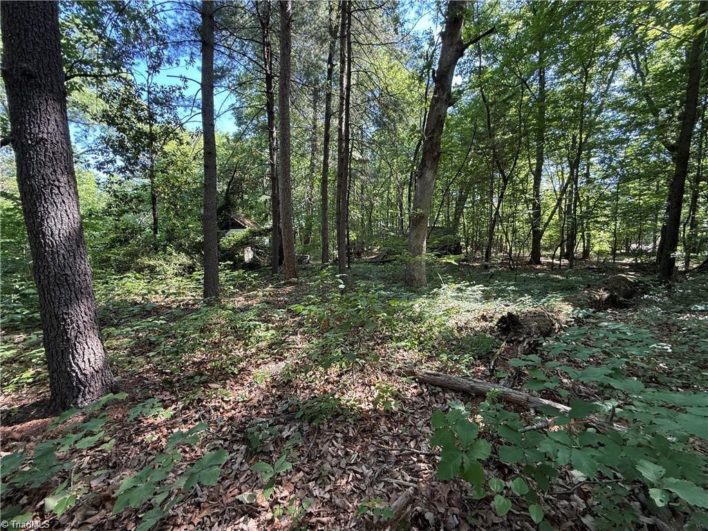 607 Kirby Road King, NC 27021 - Photo 10 of 28