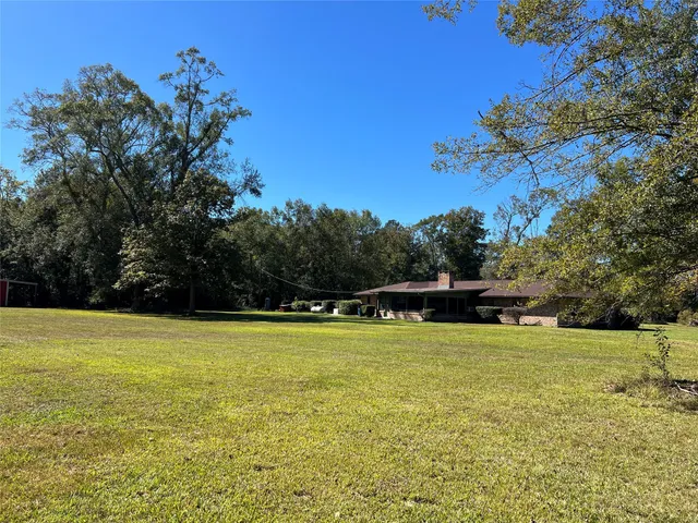 a view of yard with large trees