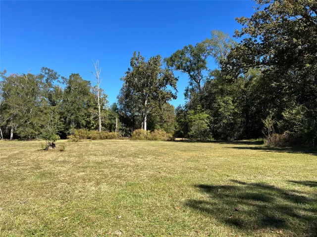 a view of a swimming pool and trees in the background