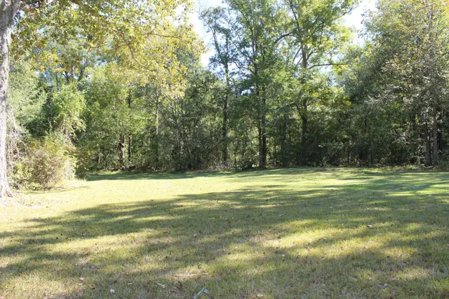 a house view with outdoor space