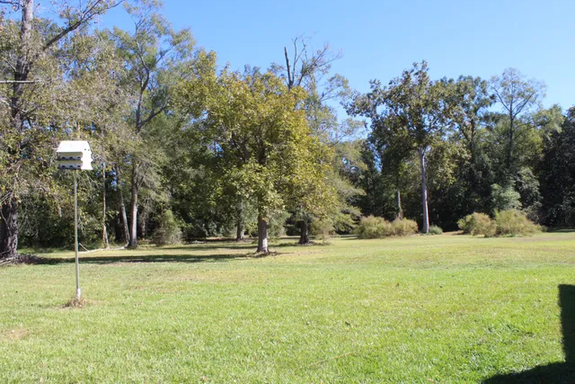 a view of yard with green space