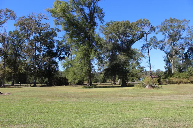 a view of a field with trees in the background