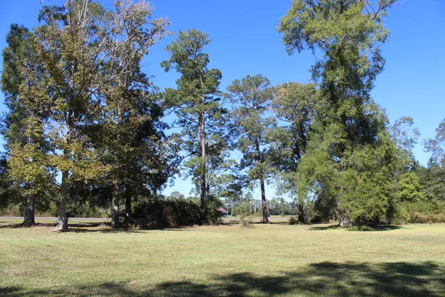 a view of a field with trees in the background