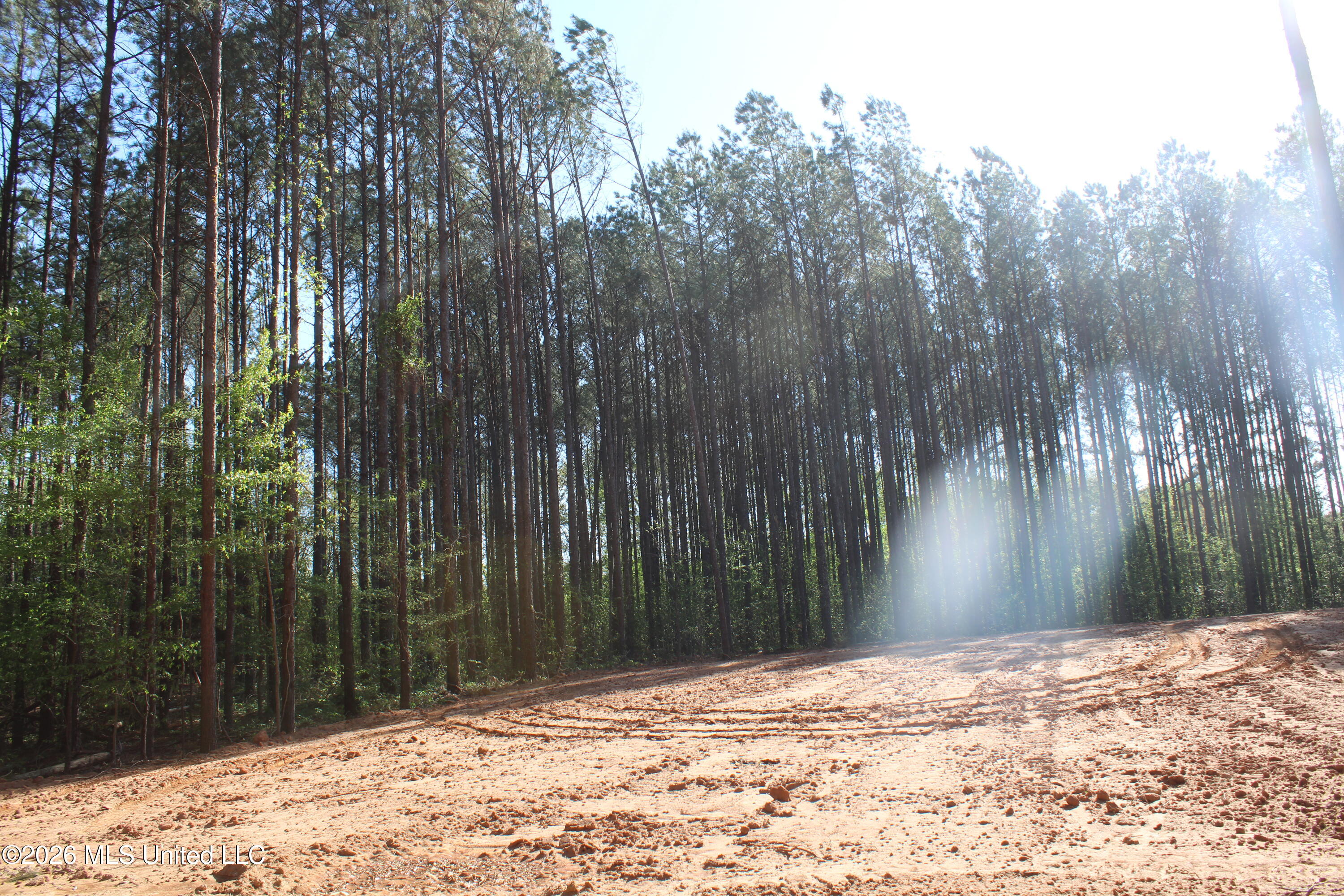 1501 South Slayden Road Lamar, MS 38642 - Photo 11 of 13 IMG_7671