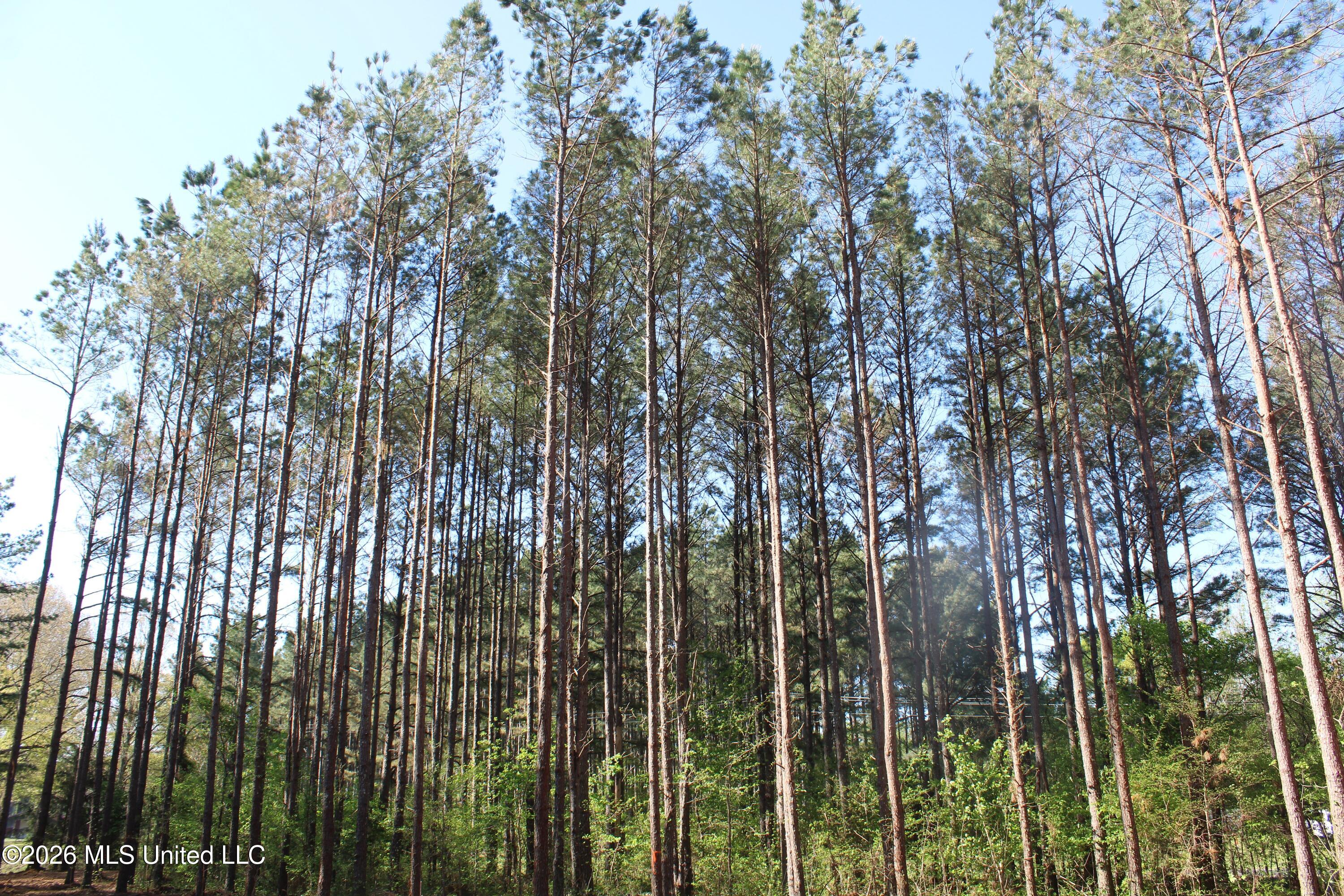 1501 South Slayden Road Lamar, MS 38642 - Photo 13 of 13 IMG_7669